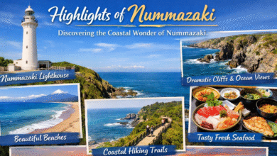 Highlights of Nummazaki: Discovering the Coastal Wonder of Nummazaki 15 Highlights of Nummazaki