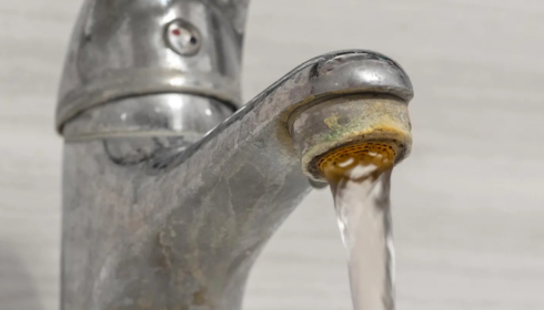 The Hidden Minerals in Your Water and Why They Matter More Than You Think 6 calcium