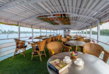 Sundarban Tour Package: Experience the Best Sundarban Tour 3 Sundarban tour