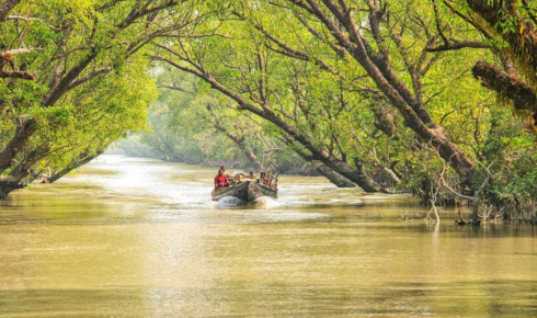 Sundarban tour